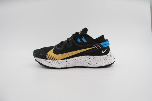 Nike pegasus trail 2